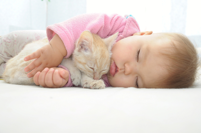 baby sleeping with kitten