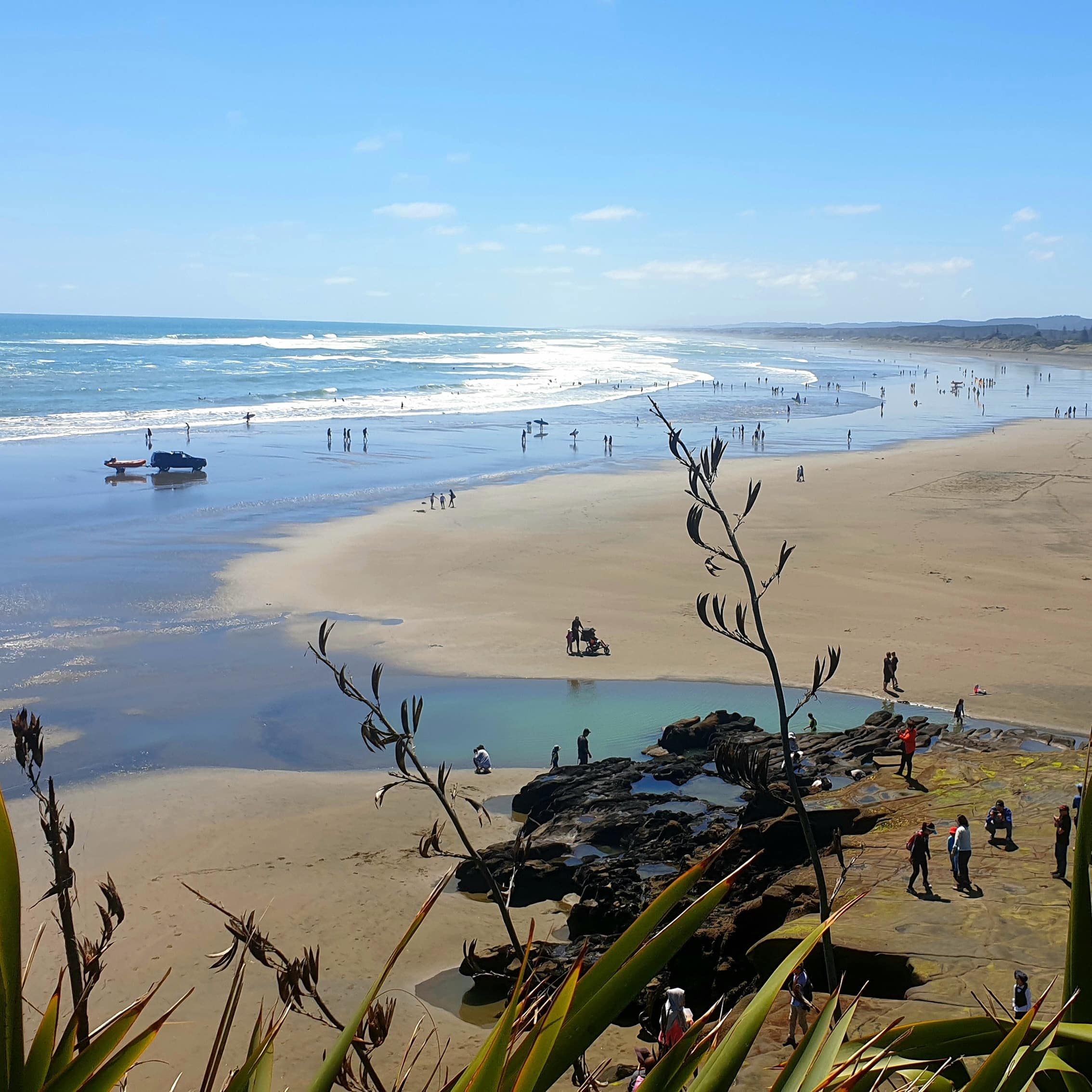 the forecast is for a hot summer in NZ - image shows a sunny day on an NZ beach . 